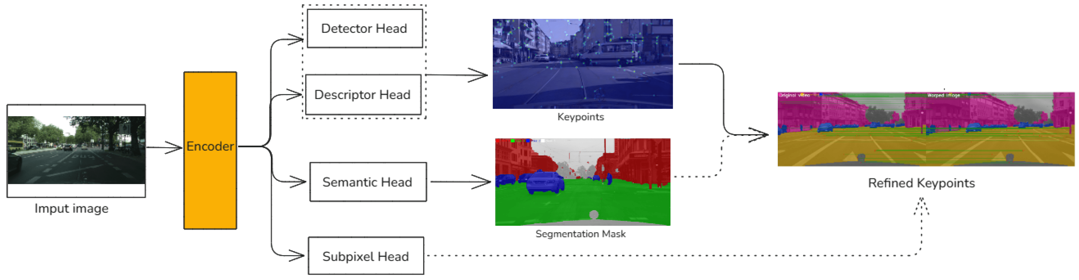 SuperSegmentation Architecture with single keypoint and segmentation pipeline